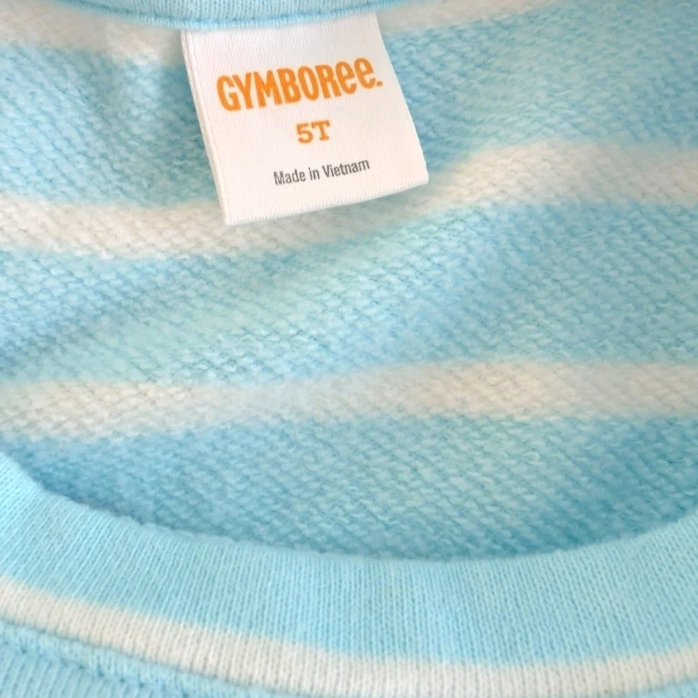 Gymboree Girls Light Blue and White Striped Sweatshirt Size 5T